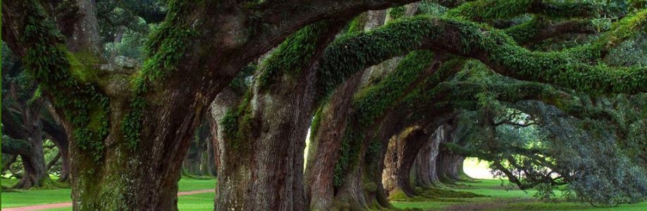 SanthanaLakshmi AlagiriRaj Cover Image