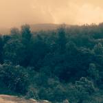 Abusamina Abusamina Profile Picture