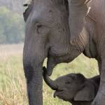 Dineshbabu Profile Picture