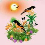 srivani thangavel Profile Picture