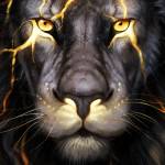 Elakeya Profile Picture