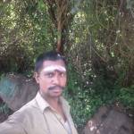 rameshkumarp Profile Picture