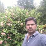 Ram Ganesh Profile Picture