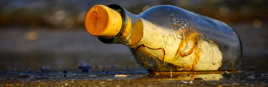 Vilim Cover Image