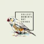 Girish Reddy Profile Picture