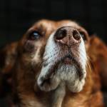 John Derr Profile Picture
