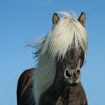 Bradley Agnew Profile Picture