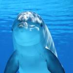 Jacob Ferguson Profile Picture