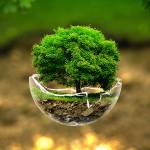 Thaddeus Maslov Profile Picture