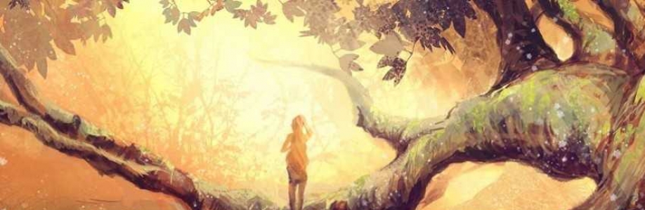 Hsin Guo Cover Image