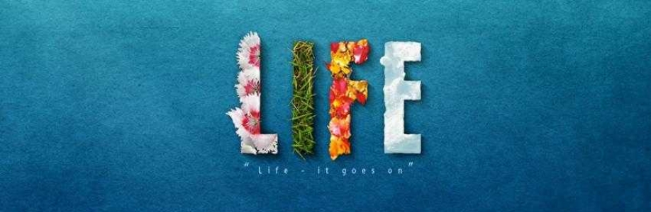 Hilmar Guðbergsson Cover Image