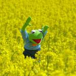 Dhiradj Lucassen Profile Picture