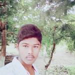 Boyapati Naidu Profile Picture