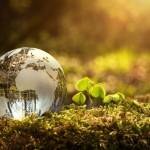 Nirmal Biswas Profile Picture