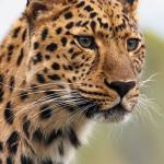 William cox Profile Picture