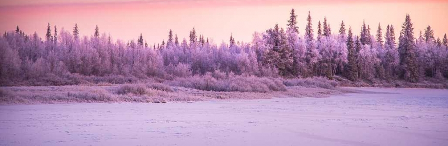 Arnetta Smith Cover Image