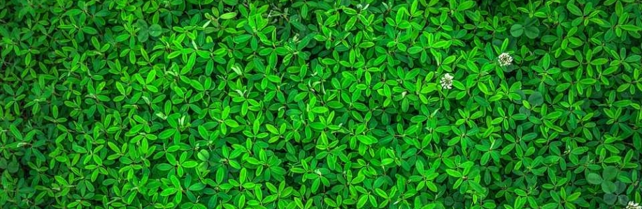 Bradley Jones Cover Image