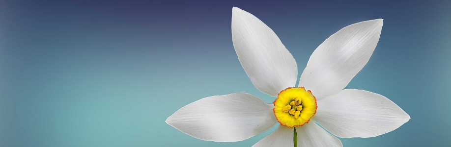 Самсон Cover Image