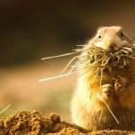 Paul Profile Picture