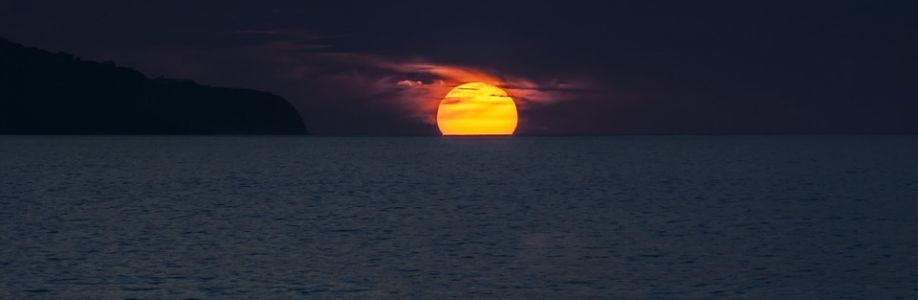 Fernando Williams Cover Image