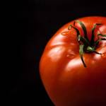 Longin Nowak Profile Picture