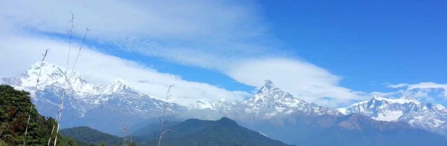 Archie Justin Cover Image