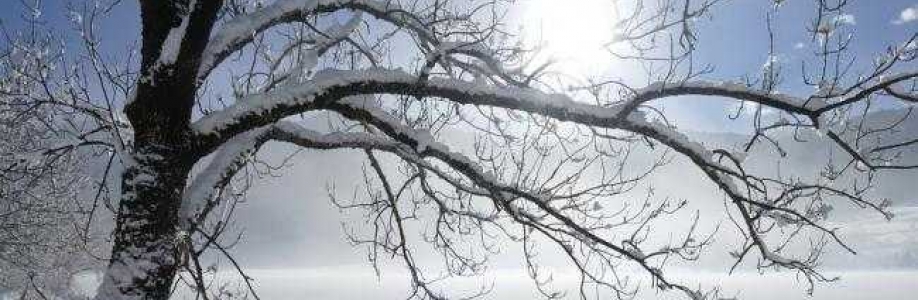 Dhiradj Lucassen Cover Image