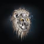 Ram Dixit Profile Picture