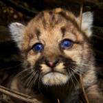 Harley Metcalfe Profile Picture