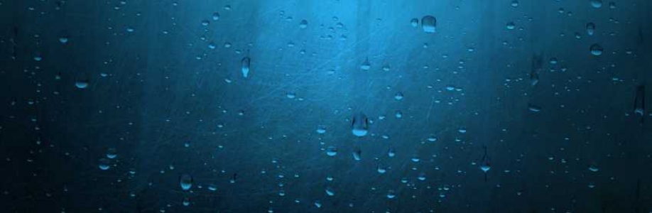 Russell B. McClintock Cover Image