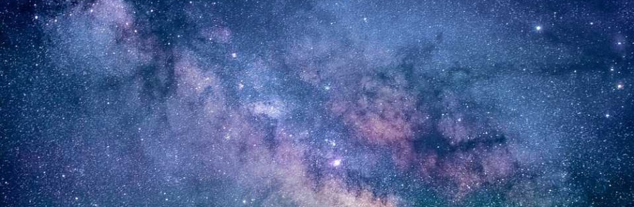 Emily Ortiz Cover Image