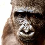 Danielle Hernandez Profile Picture