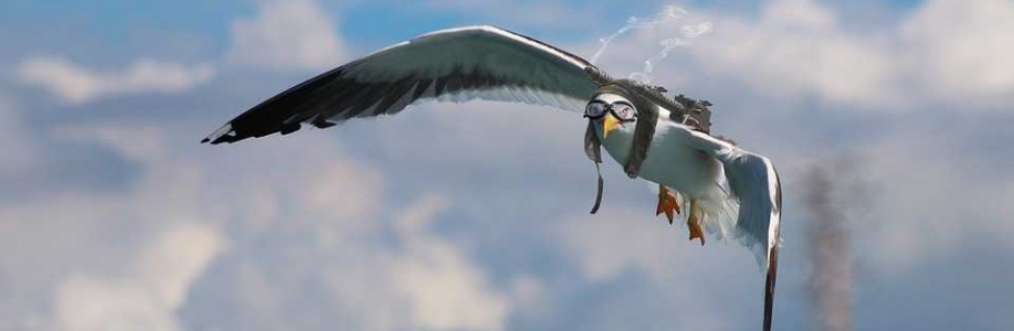 Terence Boholyubov Cover Image