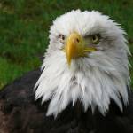 Murat Zhdanov Profile Picture