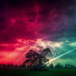 Simona Profile Picture