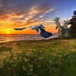 Christian Profile Picture