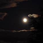 Shreya Profile Picture