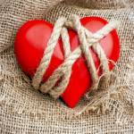 Petter Profile Picture