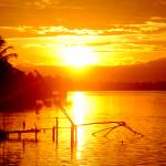 Märta Profile Picture