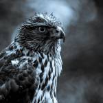 Tatiana Profile Picture