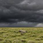 Pascal Profile Picture