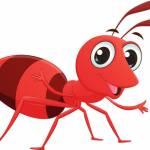 Antonnio Profile Picture