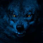 Sam Maddy Profile Picture