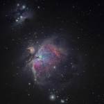 Juana Profile Picture