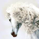 Christhian Profile Picture