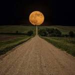 Sofia Profile Picture