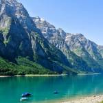 Damir Profile Picture