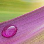 Henrik Profile Picture