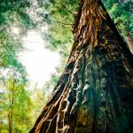 Emma Profile Picture