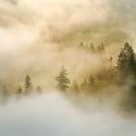 Armando Profile Picture